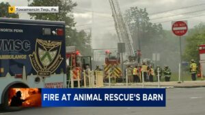 Multiple Animals Die In North Philadelphia Fire, Officials Say – Patch