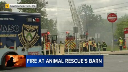 Multiple Animals Die In North Philadelphia Fire, Officials Say – Patch
