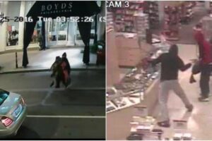 Smash-and-grabs at high-end Philadelphia stores may be part of larger crime ring – 6abc Philadelphia