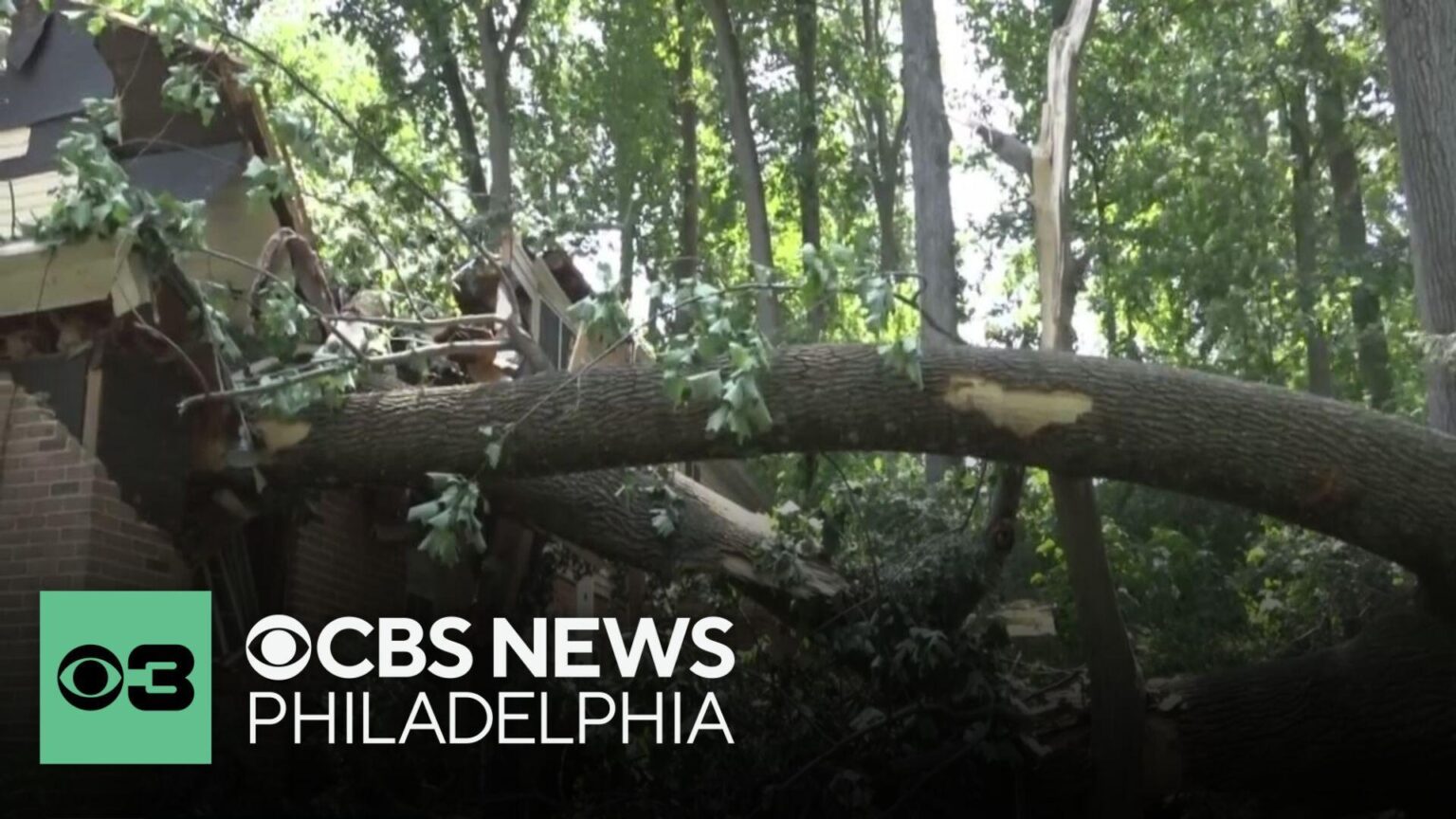 Child among 2 people injured in Philadelphia by fallen trees amid severe weather – CBS News