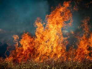How California wildfires are impacting entertainment, tourism industries – 6abc Philadelphia