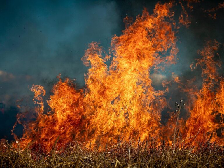 How California wildfires are impacting entertainment, tourism industries – 6abc Philadelphia