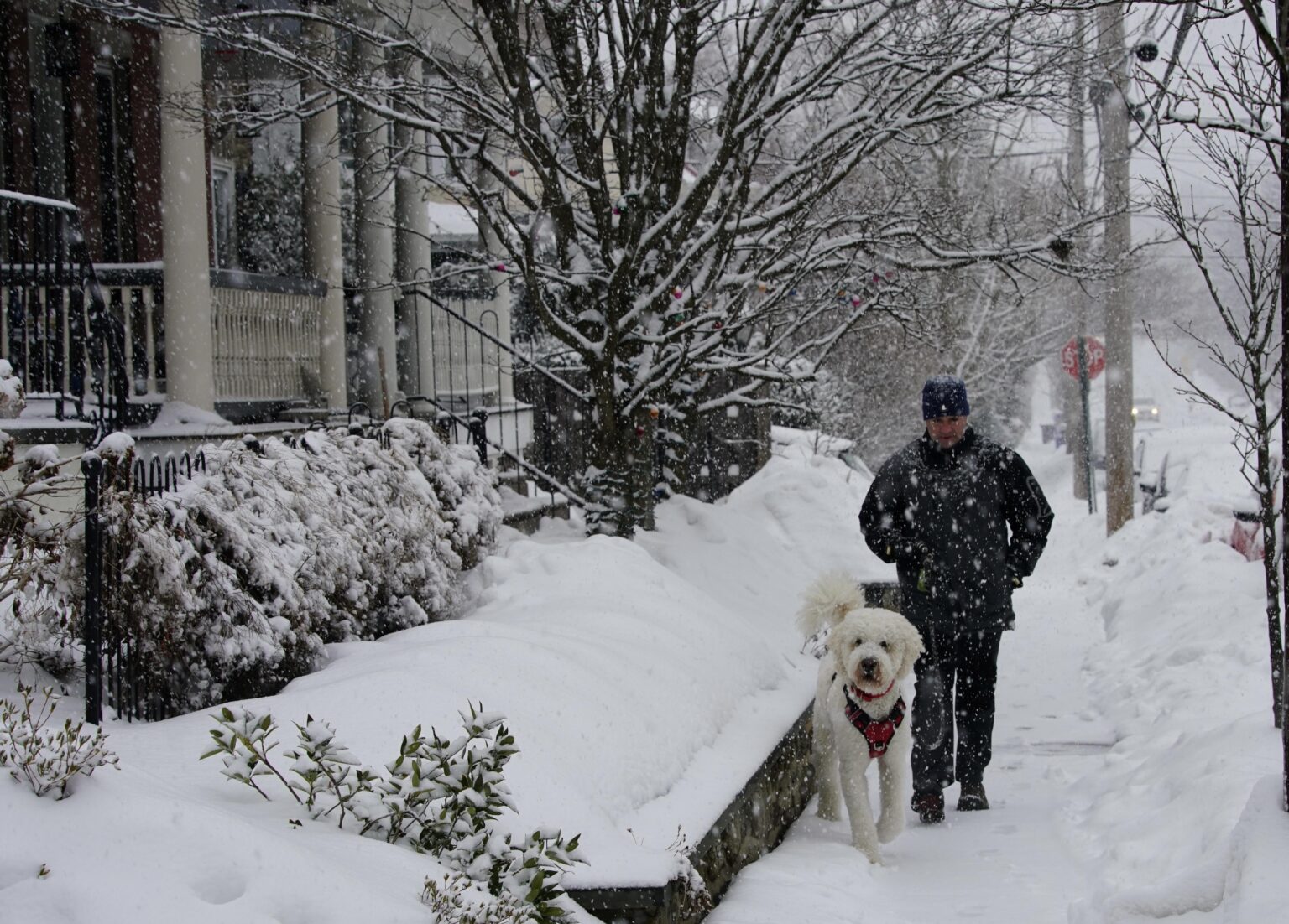 Mostly cloudy, warm Monday in Philadelphia region. Here’s the weather forecast. – CBS News Mostly cloudy, warm Monday in Philadelphia region. Here’s the weather forecast. – CBS News