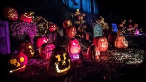 Coolest pumpkins around? The Glow in Philadelphia turns jack o’lanterns into art – PennLive.com