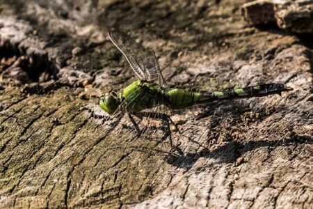 Penn GSE Unveils Exciting Initiative to Bring AI into Philadelphia Classrooms Penn GSE launches initiative to integrate AI into Philadelphia school district classrooms – The Daily Pennsylvanian