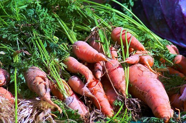 DeSean Jackson’s Exciting Journey: From NFL Stardom to DSU Spotlight DeSean Jackson: From the NFL to DSU – The News Journal