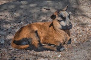 Beloved South Philadelphia Meat Supplier Shuts Doors After 79 Years South Philadelphia Meat Supplier Closes After 79 Years In Business – Patch