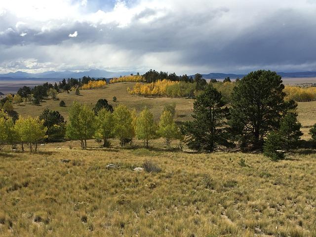 Philly School Board Member Joyce Wilkerson Honored as Nation’s Top Urban Educator Philly school board member Joyce Wilkerson was named the nation’s top urban educator – Inquirer.com