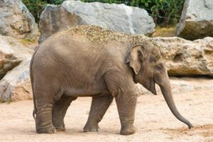 Chester County Extends Voting Hours After Third-Party Voters Were Initially Omitted Voting hours extended in Chester County after omission of third-party voters – NBC10 Philadelphia