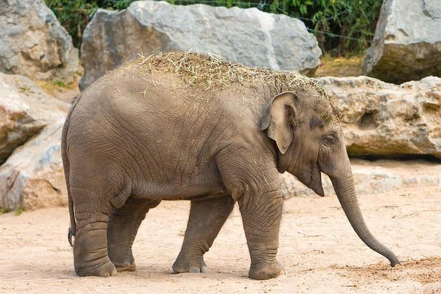 Chester County Extends Voting Hours After Third-Party Voters Were Initially Omitted Voting hours extended in Chester County after omission of third-party voters – NBC10 Philadelphia