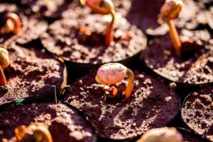 2025 in Review: Higher ed landscape continues to shift with consolidation – The Business Journals