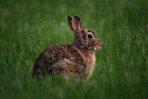 Eastern District of Pennsylvania | U.S. Attorney – Department of Justice (.gov)