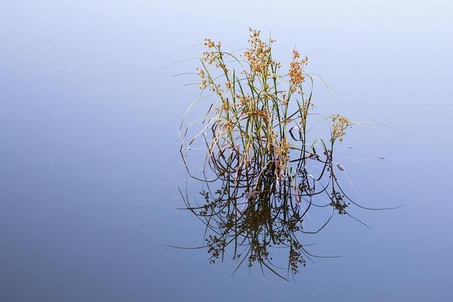 Several water main breaks in Philly on Sunday cause concerns over icy roads – NBC10 Philadelphia Several water main breaks in Philly on Sunday cause concerns over icy roads – NBC10 Philadelphia